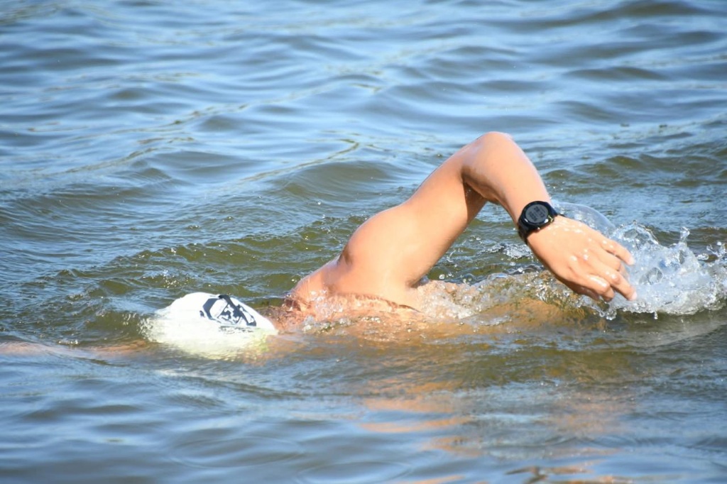 029Swimming — atletas em treino de águas abertas